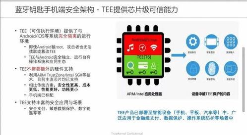 上海瓶钵 车联网相关业务 信息安全产品 车载数字钥匙系统以及相关运维服务 2021金辑奖